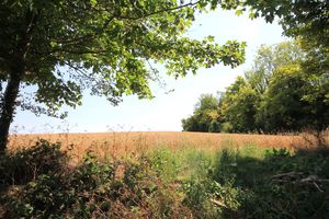Photo 8- click for photo gallery